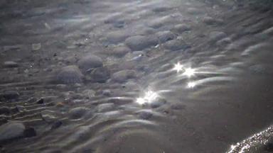 贝壳海岸水波封面贝壳沙子波飞溅贝壳美丽的救援海贝壳洗波